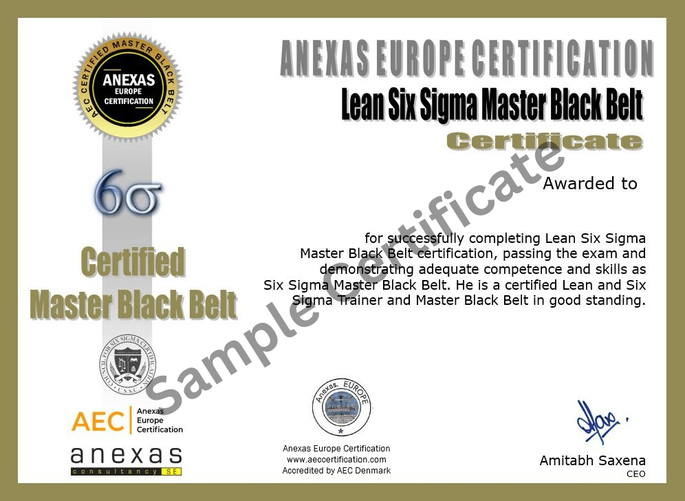 Lean Six Sigma Master Black Belt Certification Anexas Europe