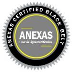 lean six sigma black belt badge