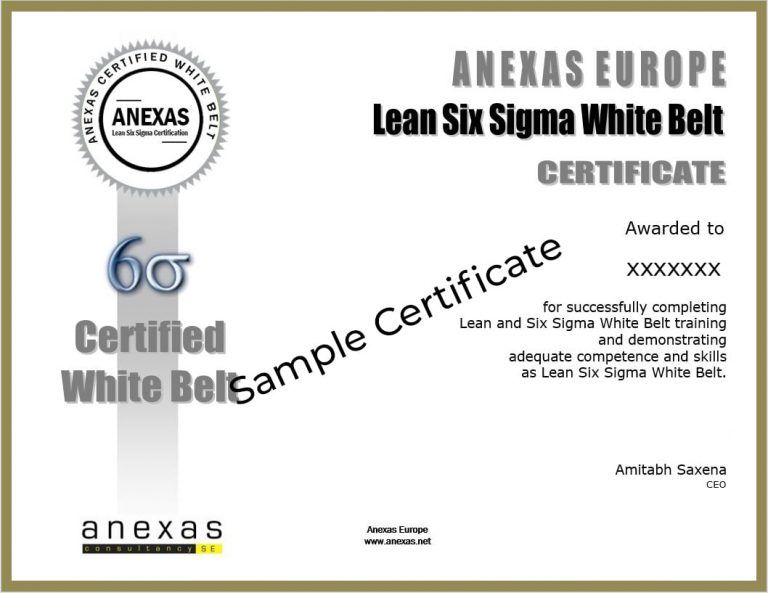 lean six sigma white belt certification