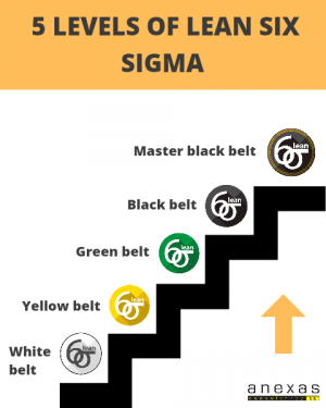 Who provides Lean Six Sigma certification? Top 3 institutes