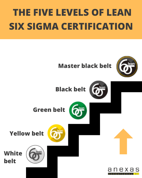 5 levels of six sigma and their eligibility 