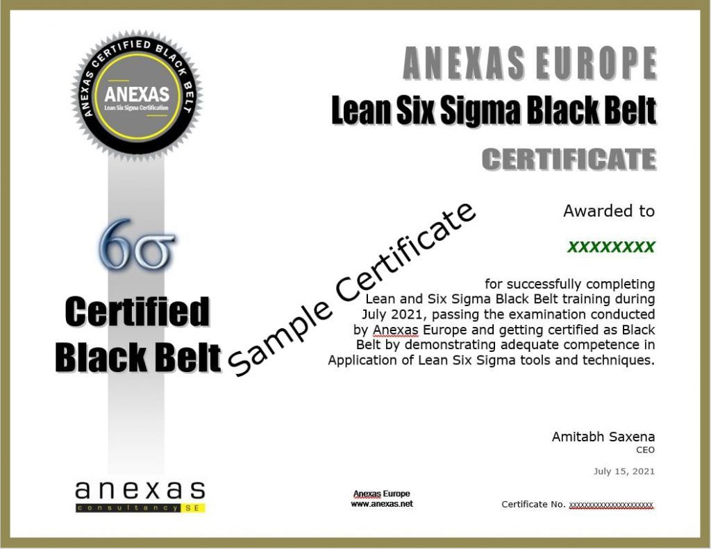 Lean Six Sigma Black Belt Certification - Anexas Europe