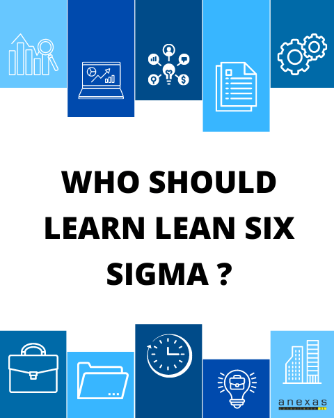 main image of who should do learn lean six sigma
