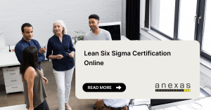 Lean Six Sigma Certification Online