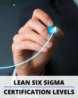 Increasing Order Of Lean Six Sigma Certification Levels.