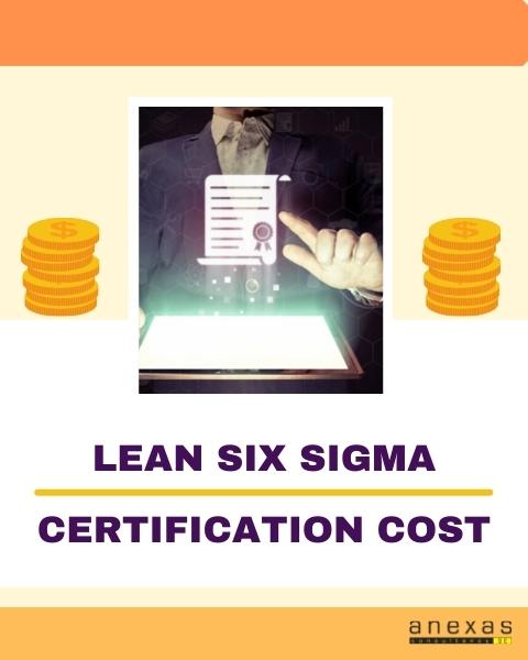 Lean Six Sigma certification cost

