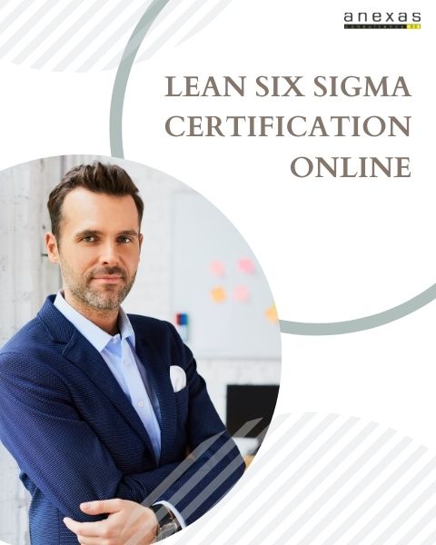 lean six sigma certification online
