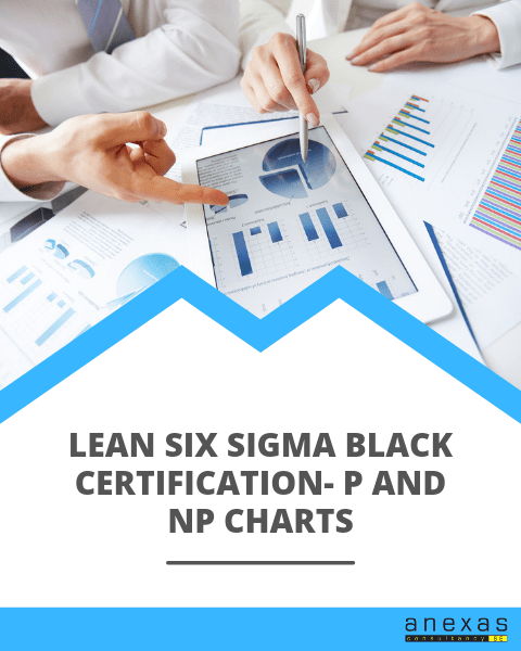 Lean Six Sigma Black Belt Certification P and NP charts