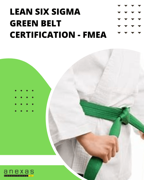 Lean Six Sigma Green Belt Certification FMEA