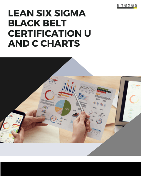 Lean Six Sigma Black Belt Certification U and C charts 