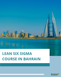 Lean Six Sigma Course In Bahrain