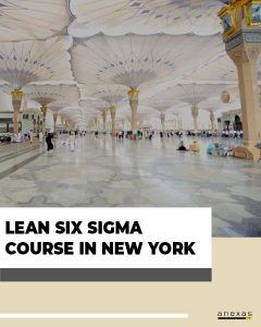 lean six sigma course in new york