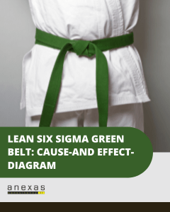 lean six sigma green belt cause and effect diagram