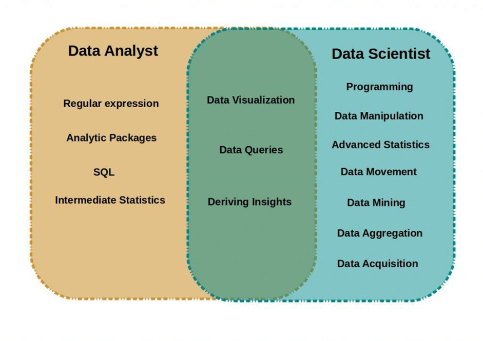 Comparison between roles of data analyst and data scientist. 