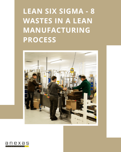Lean Six Sigma- 8 Wastes in a lean manufacturing process