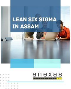 lean six sigma course in assam