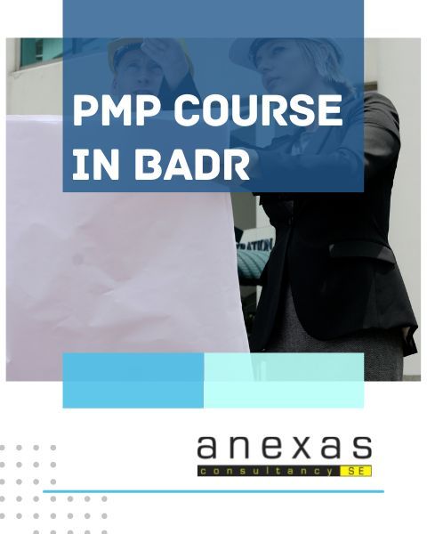 pmp course in badr