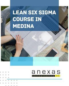 lean six sigma course in medina