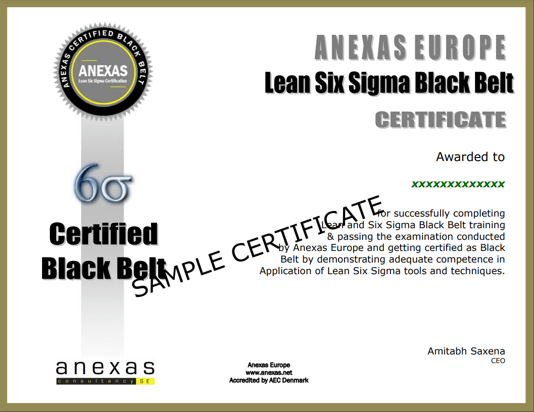 Lean Six Sigma Green And Black Belt Certification Anexas Europe