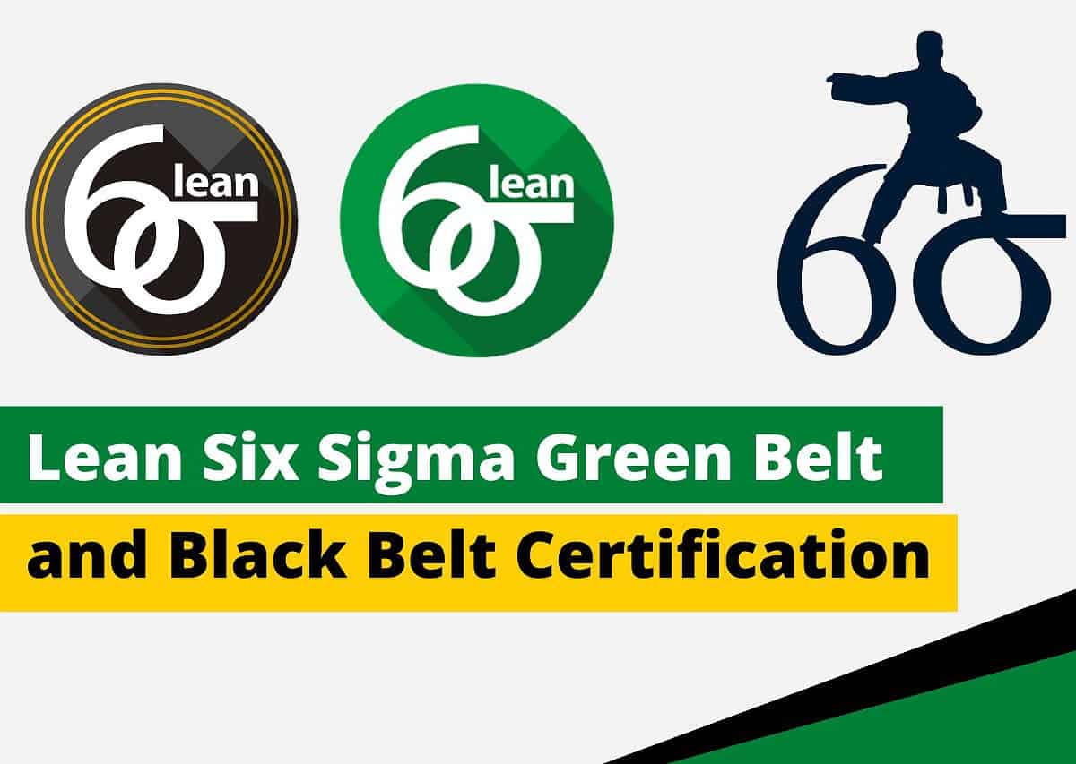 Lean Six Sigma Green and Black Belt Certification - Anexas Europe