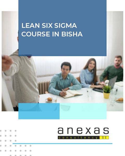 lean six sigma course in bisha