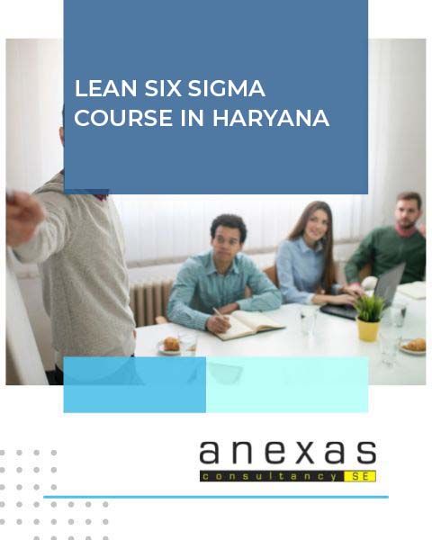 lean six sigma course in haryana