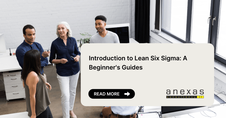 Introduction to Lean Six Sigma: A Beginner's Guides