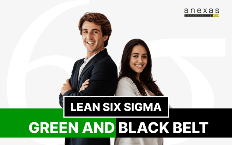 lean six sigma green belt and black belt