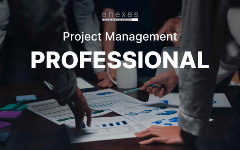 Project Management profesional