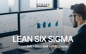 lean six sigma green belt black belt pmp course